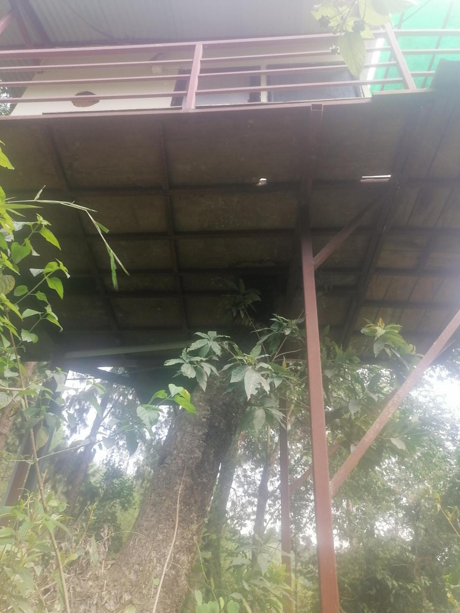 Jungle Crown Organic Homestay Nagarkot Room photo